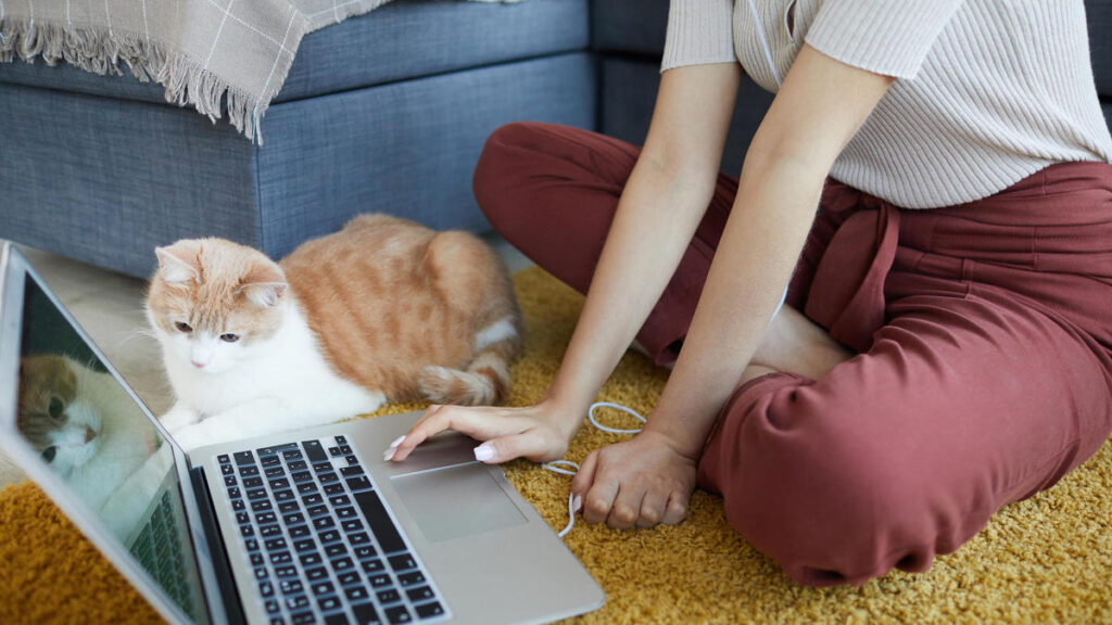 Return to work: How the technology mix we rely on is about to change, again