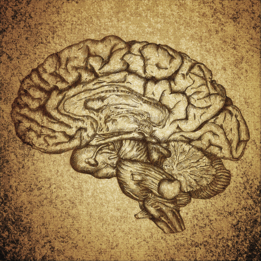 Soon, your brain will be connected to a computer. Can we stop hackers breaking in?