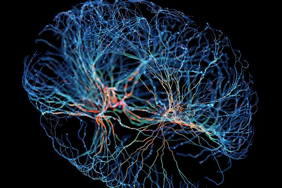 The Rise Of The Self-Driving Enterprise: Efficiency, Innovation And Ethical Challenges
